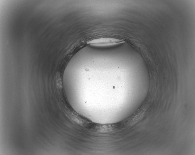 X0000056010384200509162350