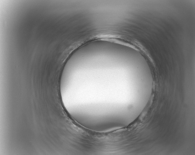 X0000056010385200509162349