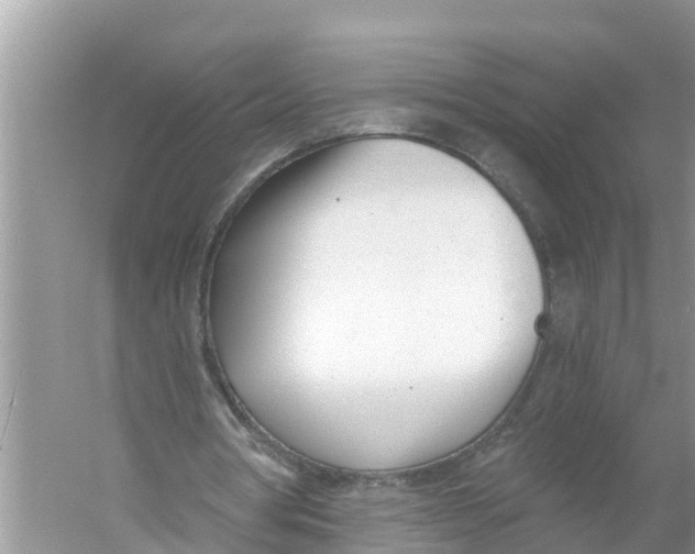 X0000056010386200509162349