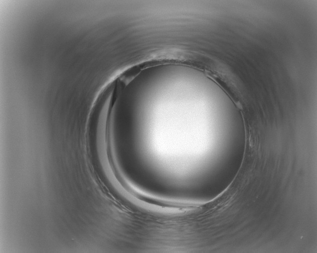 X0000056010388200509162349