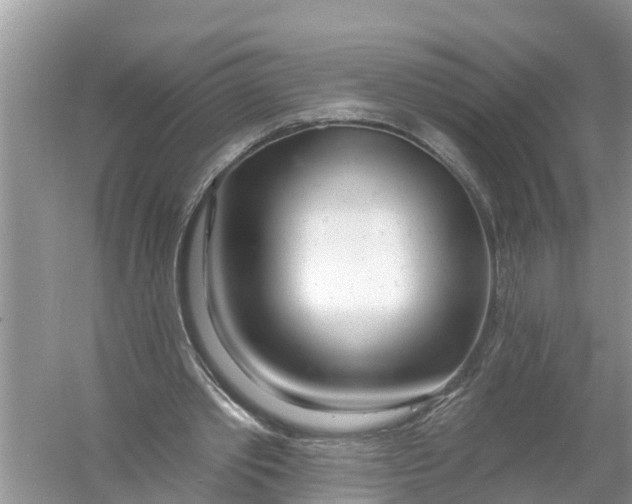 X0000056010389200509162349