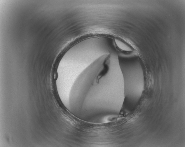 X0000056010391200509162349