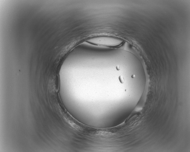 X0000056010393200509162349