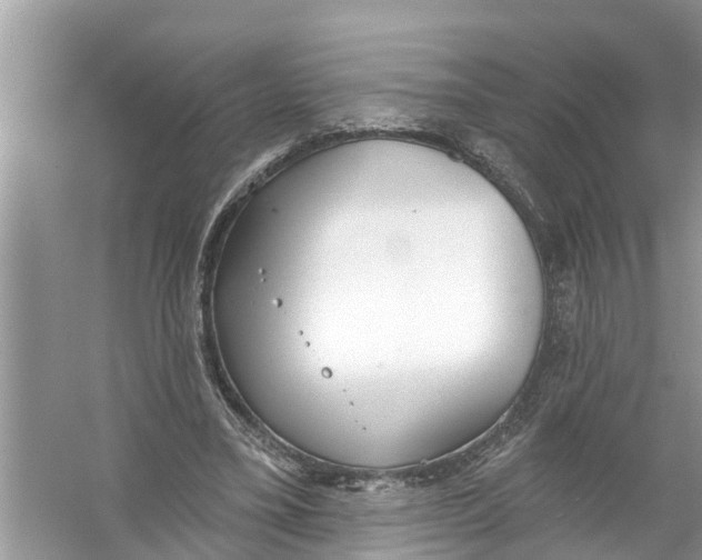 X0000056010395200509162349