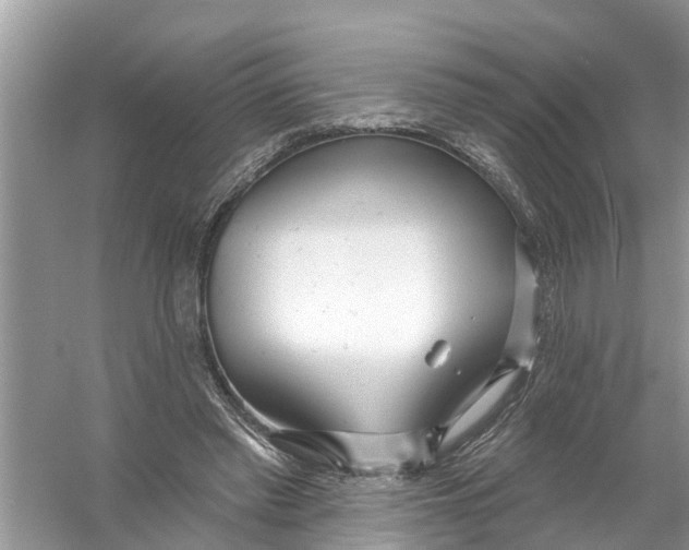 X0000056010397200509162349