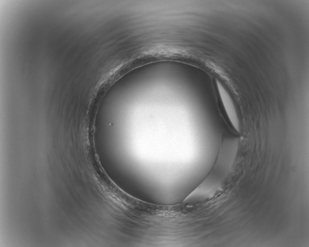 X0000056010399200509162349