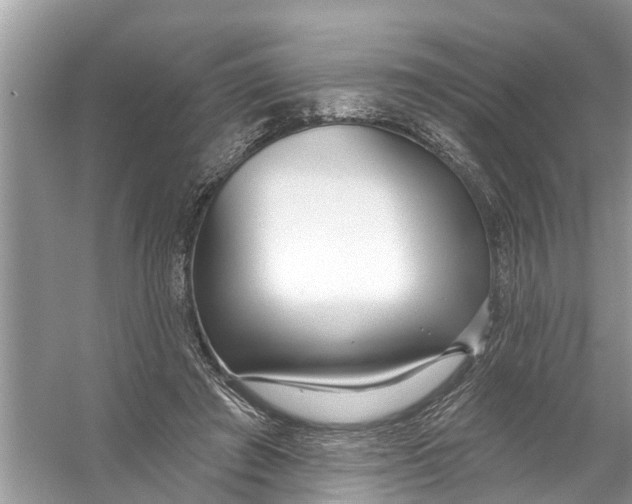 X0000056010401200509162349