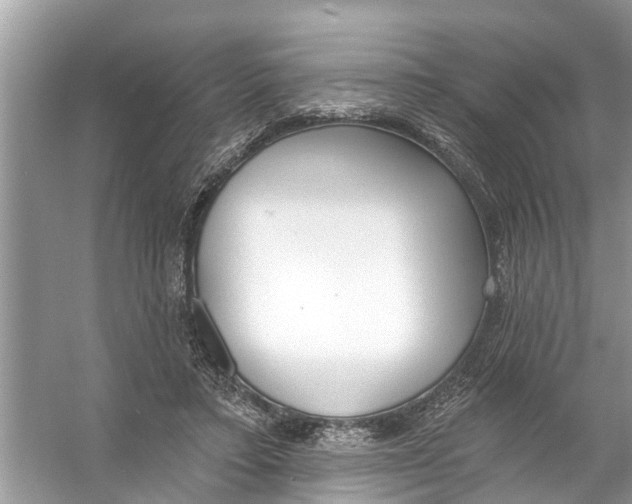 X0000056010403200509162349