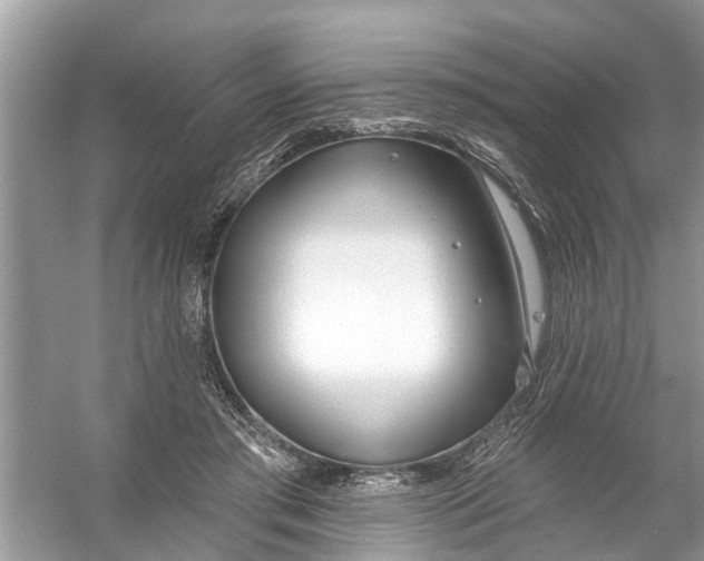 X0000056010405200509162349