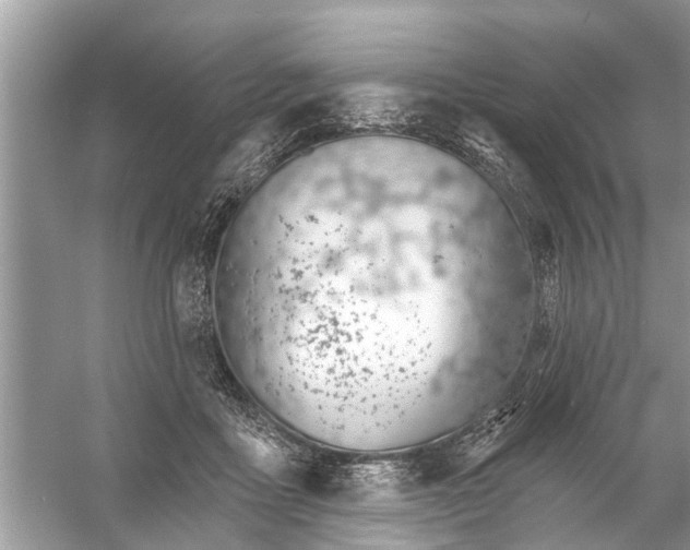 X0000056010411200509162349