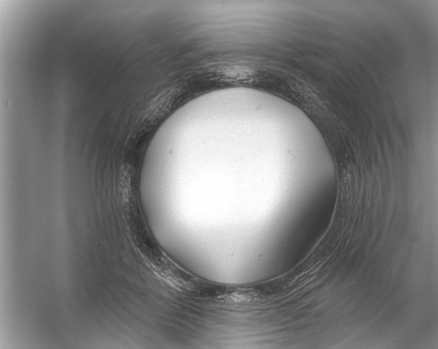 X0000056010412200509162349