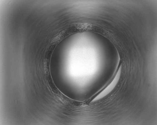 X0000056010416200509162349