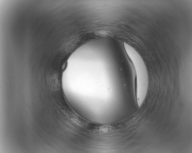 X0000056010420200509162349