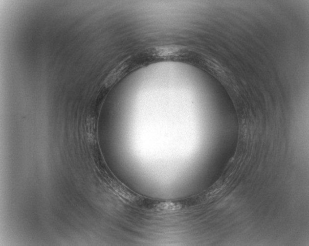 X0000056010421200509162349