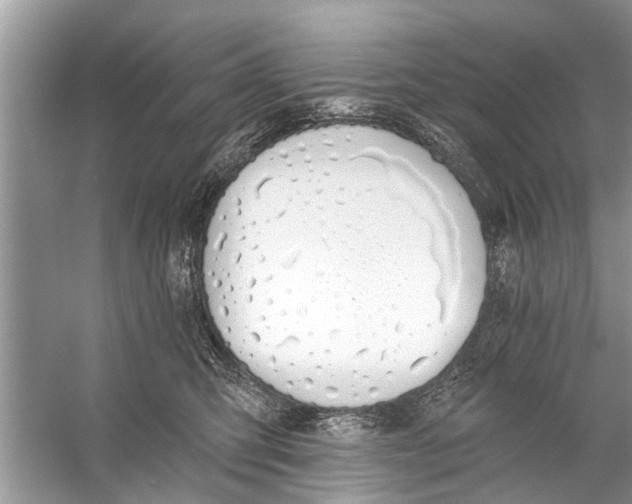 X0000056010423200509162349