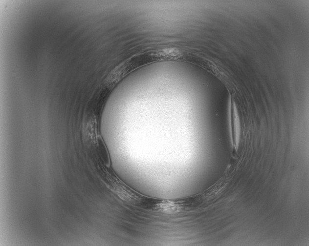 X0000056010425200509162349