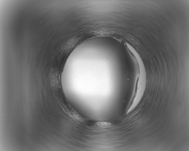 X0000056010429200509162349