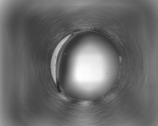 X0000056010432200509162349