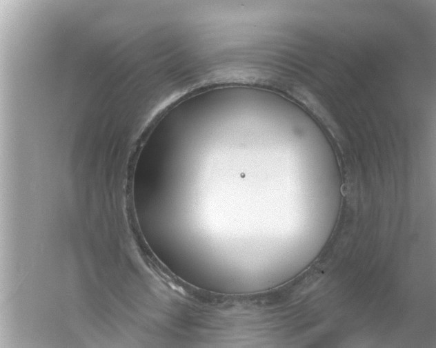 X0000056010434200509162348