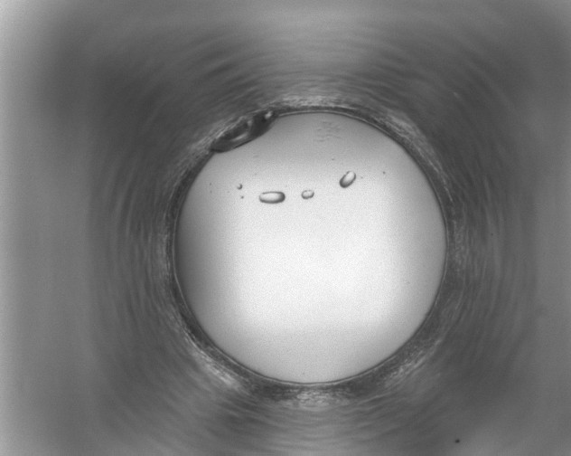 X0000056010441200509162348