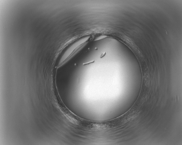 X0000056010442200509162348