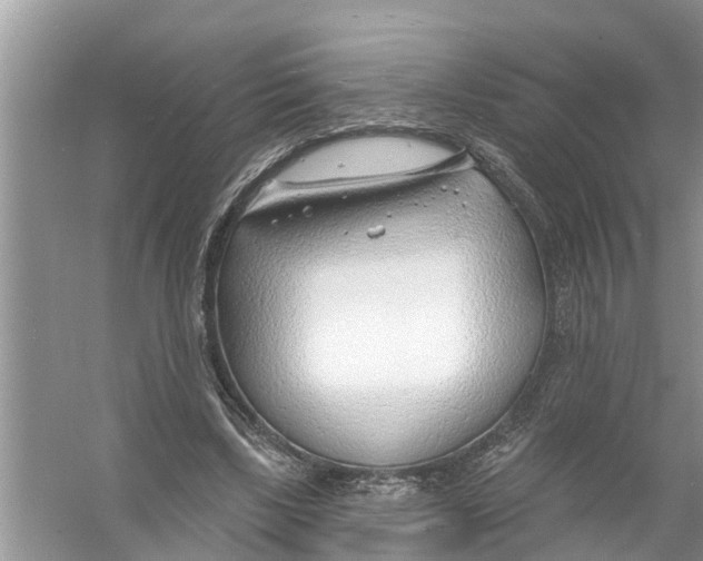 X0000056010443200509162348