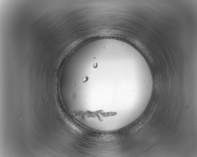 X0000056010445200509162348