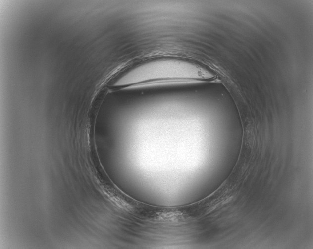 X0000056010446200509162348