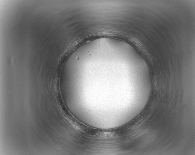 X0000056010449200509162348