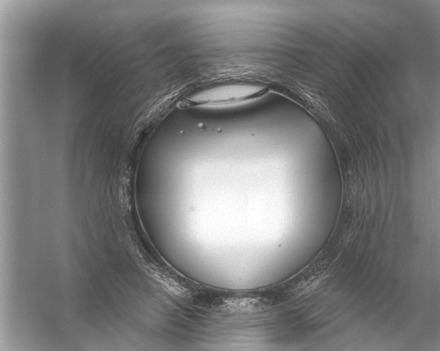 X0000056010450200509162348