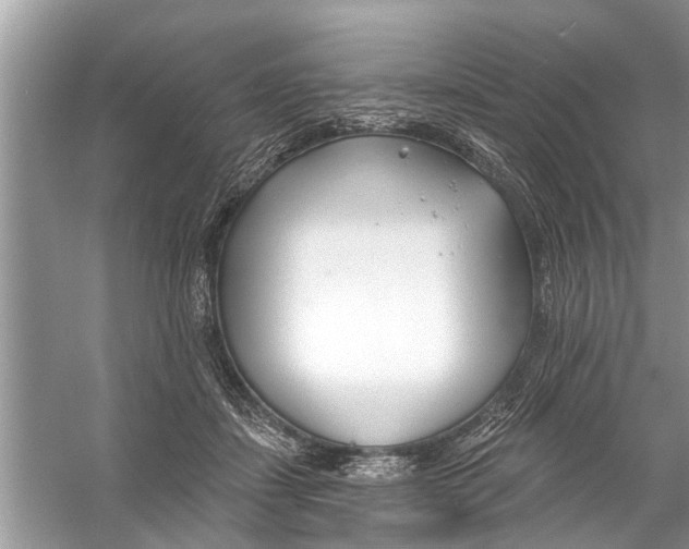 X0000056010459200509162348