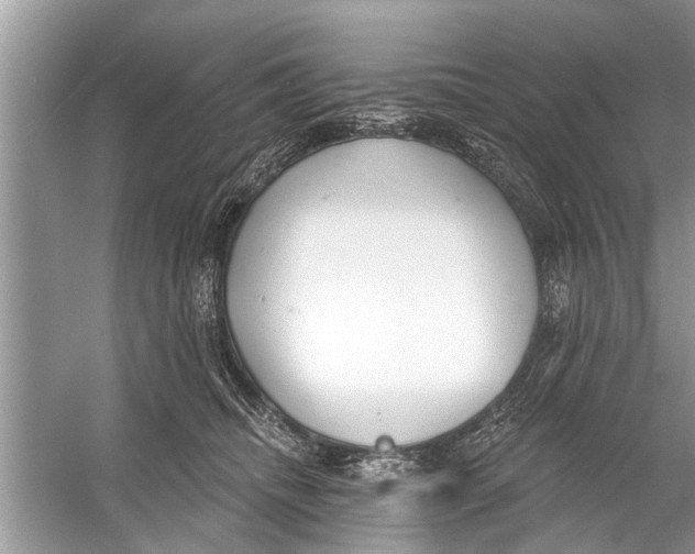 X0000056010468200509162348