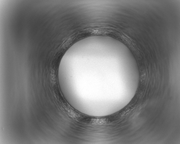 X0000056010469200509162348