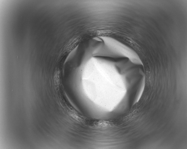 X0000056010475200509162349