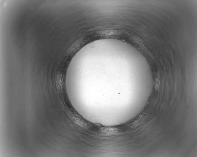 X0000056010476200509162349