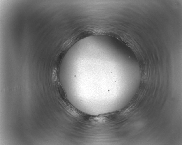 X0000056010478200509162349