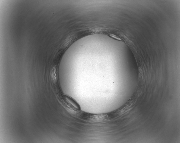 X0000056010479200509162349