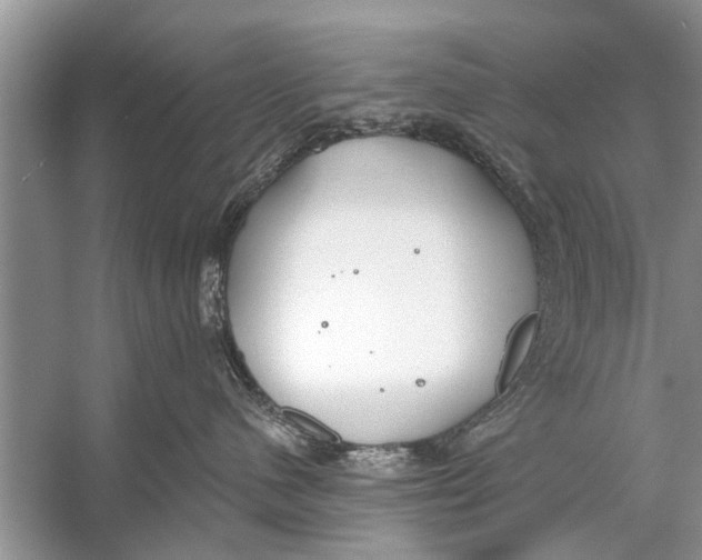 X0000056010480200509162349