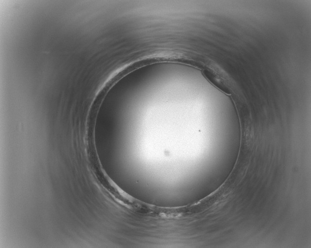 X0000056010484200509162348