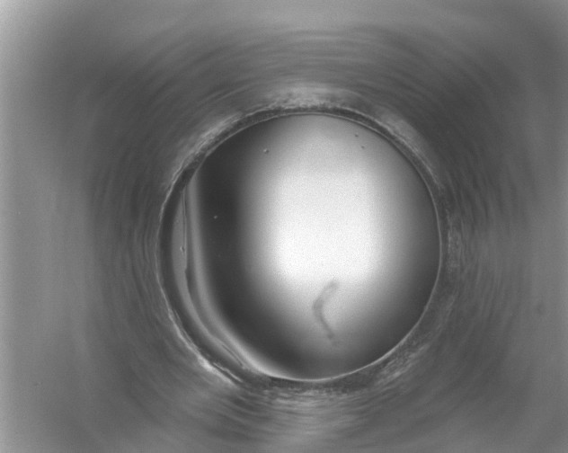 X0000056010485200509162348