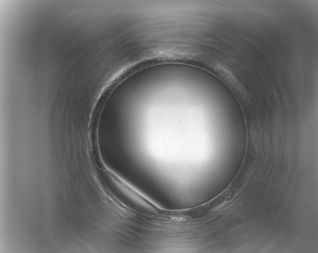 X0000056010488200509162348