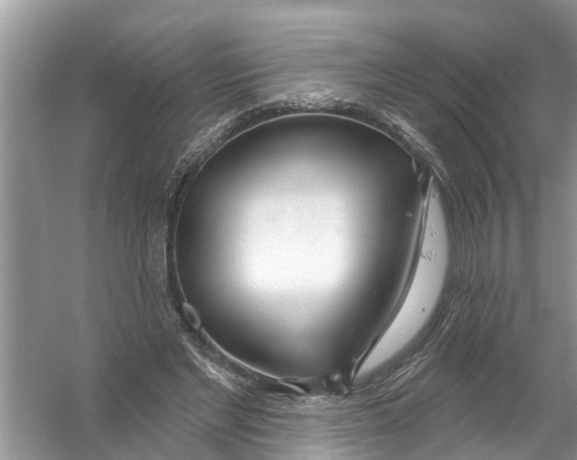 X0000056010493200509162348