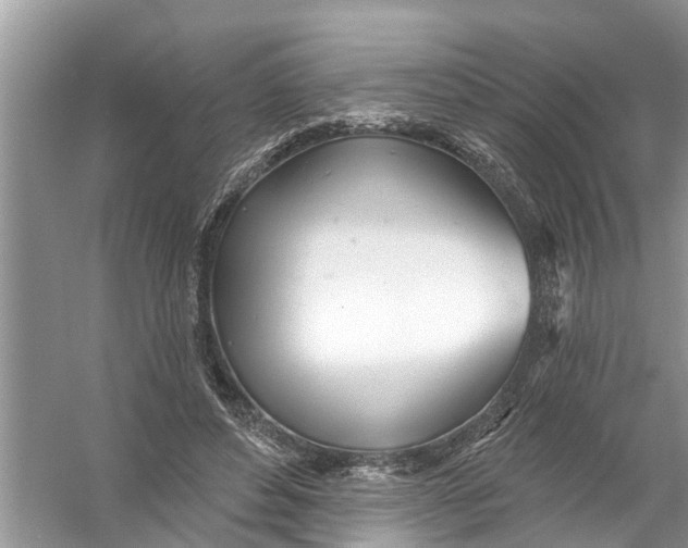 X0000056010496200509162348