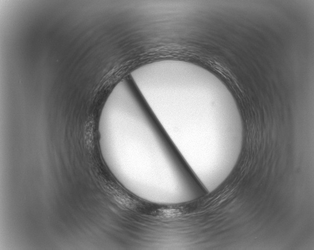 X0000056010509200509162347