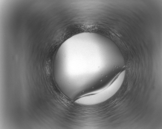 X0000056010515200509162347