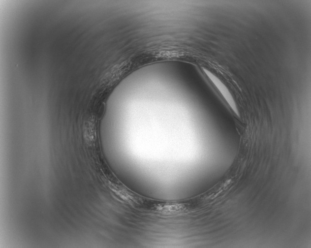 X0000056010517200509162347