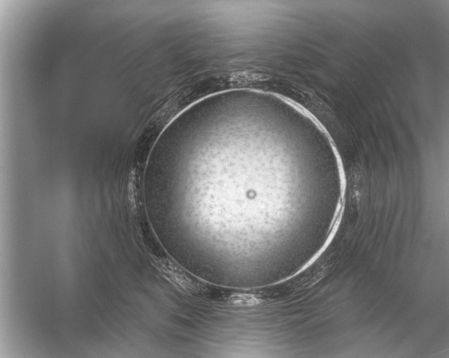 X0000056010519200509162347