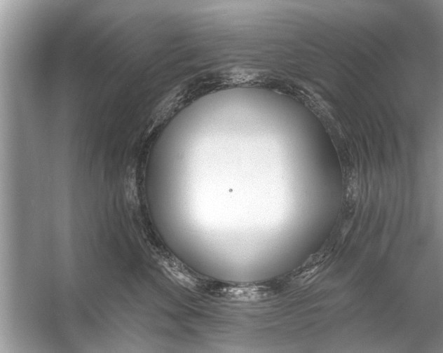 X0000056010524200509162347