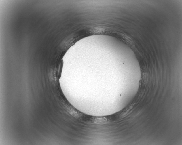 X0000056010525200509162347