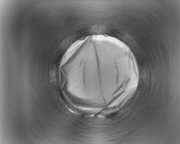 X0000056010526200509162347